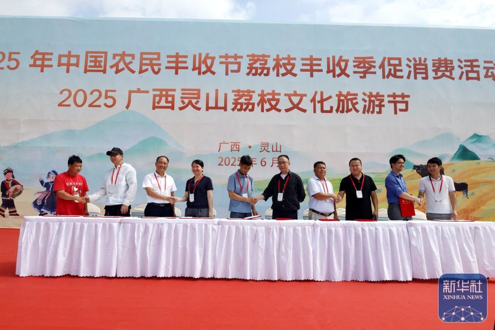 千年荔乡盛夏之约 荔枝丰收季促消费活动在广西灵山县举行(图1)