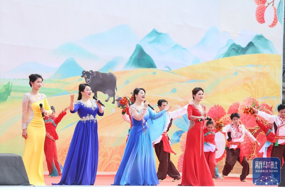 千年荔乡盛夏之约 荔枝丰收季促消费活动在广西灵山县举行(图2)