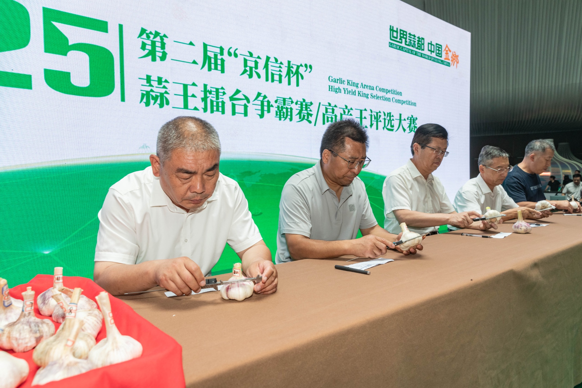 “智”领全球“链”向未来 金乡擘画大蒜产业世界新图景(图3)