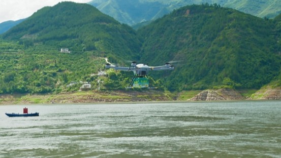 30万亩巫山脆李开园上市 “水陆空铁”多式联运助力售全国(图4)
