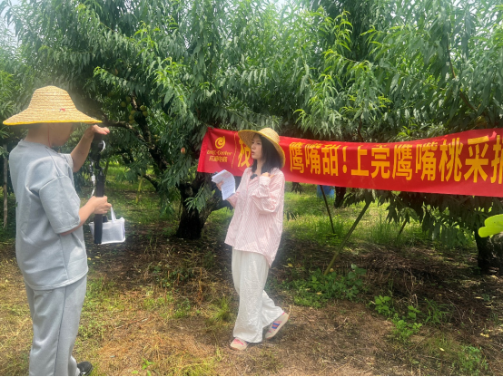 “东源电商”产地直播宣传 助农实现增收（2025年第19期专报）(图1)