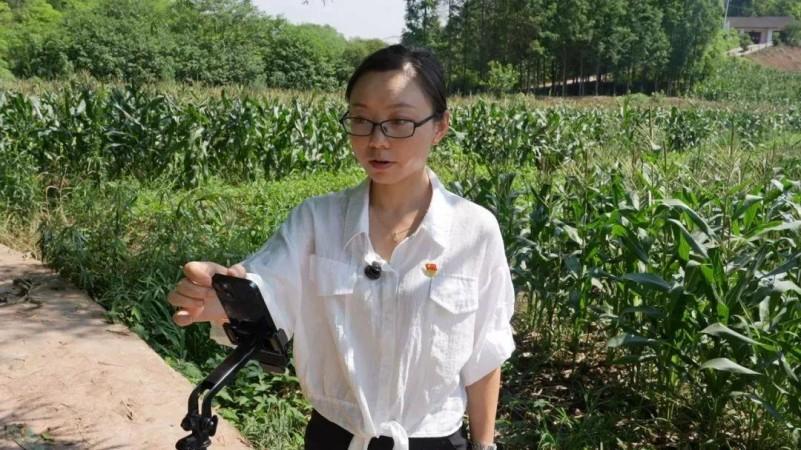 乐山市五通桥区蔡金镇：甜糯玉米搭上“云端快车” 村干部直播带货助农增收(图1)