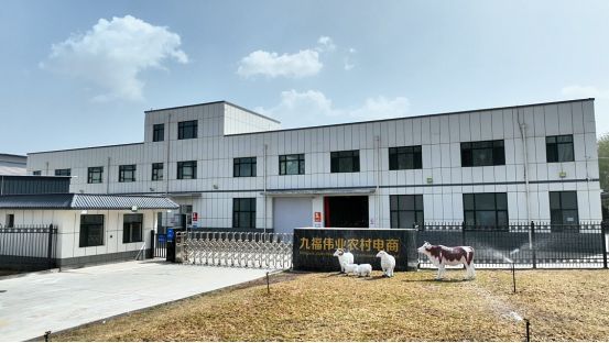 电商助农、产业兴村 —— 宁夏九福伟业的乡村振兴之路(图1)