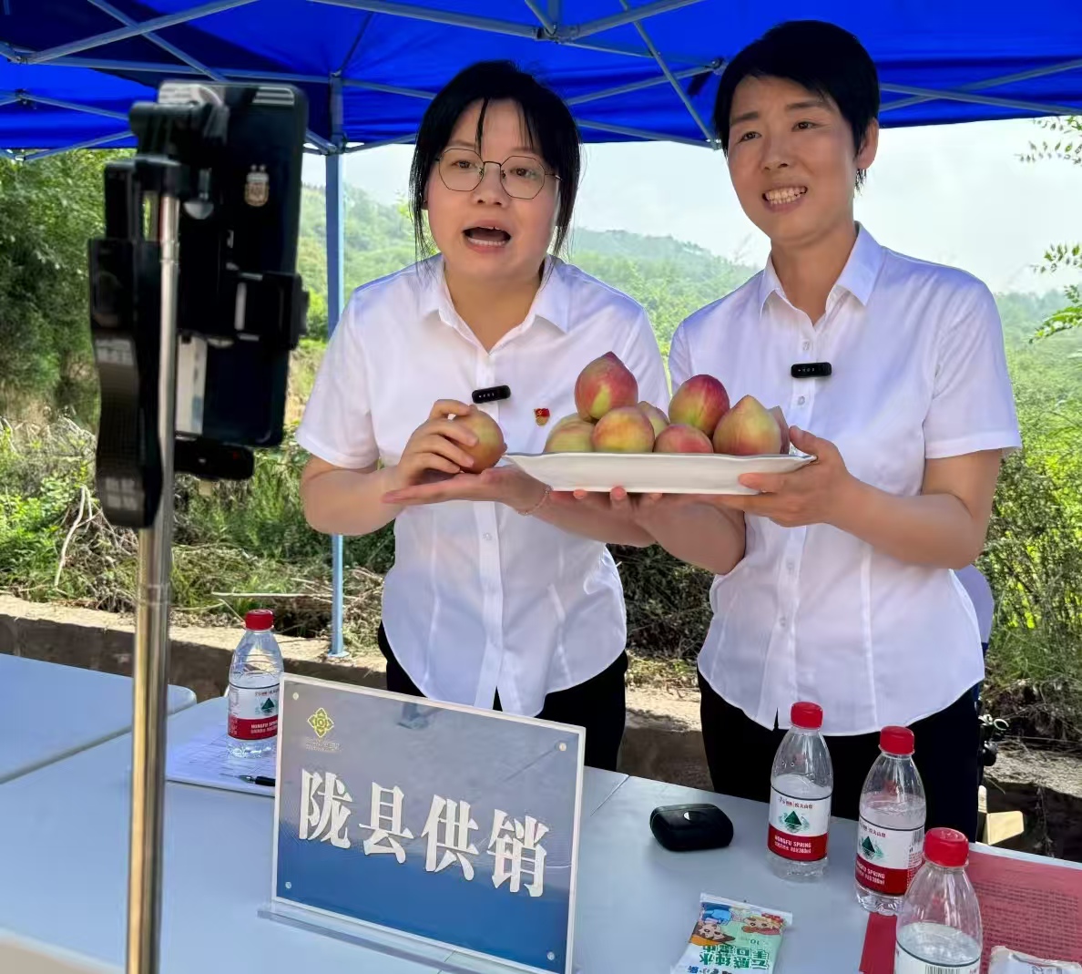 党建引领直播助农 陕西陇县油桃热销促增收(图1)