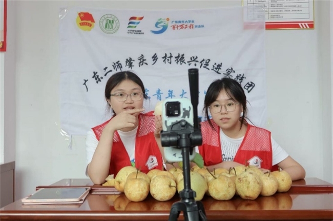 从校园到梨园：广东二师学子以直播助力石咀早脆梨出圈(图2)