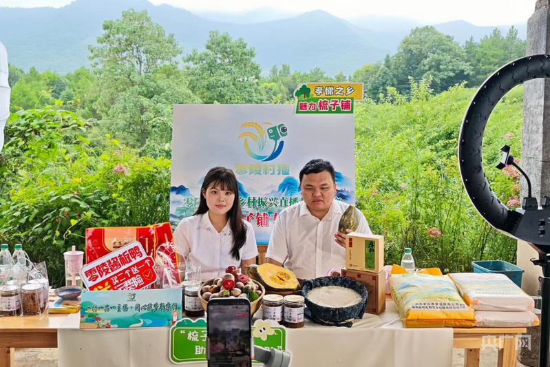 借力“直播翅膀” 湖南零陵土特产“飞”向全国(图1)