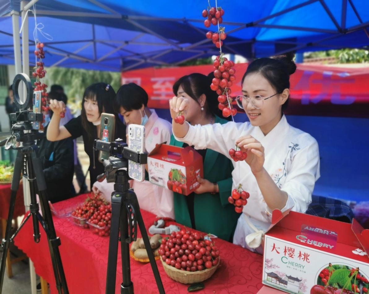 农产品直播带货研究pptx(图1)