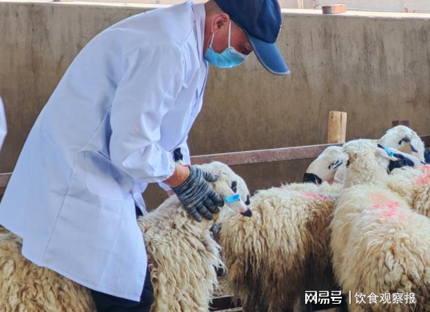 每一口都安心！寻滩鲜滩羊以全流程把控诠释食品安全(图1)