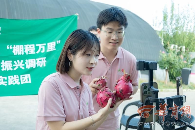 青春直播助农：西农学子化身“新农人”为杨凌火龙果代言(图2)