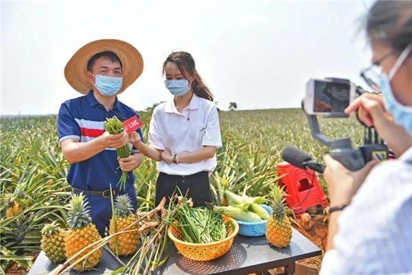 宁县直播带货催热黄甘桃“甜蜜经济”(图1)