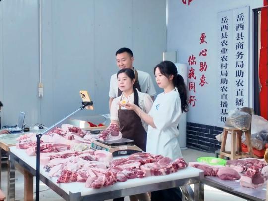 青春流量架“云桥” 食品学子助农促振兴——安徽科技学院学子探索“专业+直播”赋能大别山特产(图5)