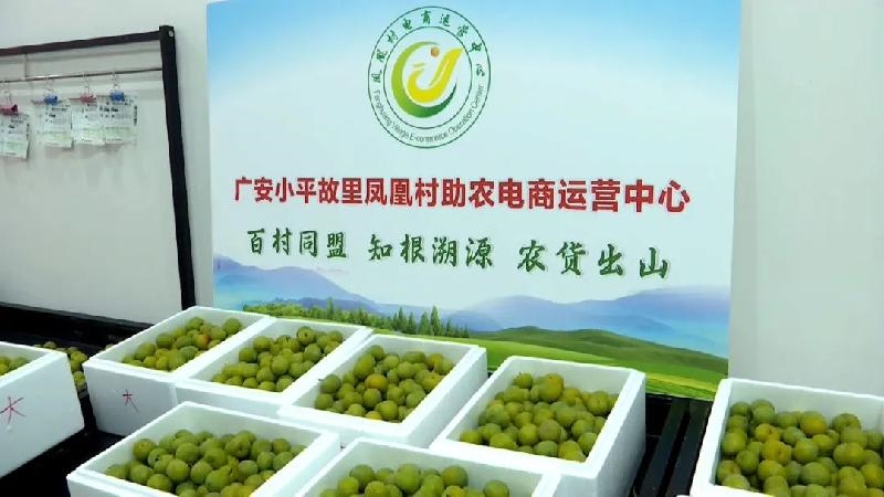 令人动容！贺娇龙“最后的告白”(图1)