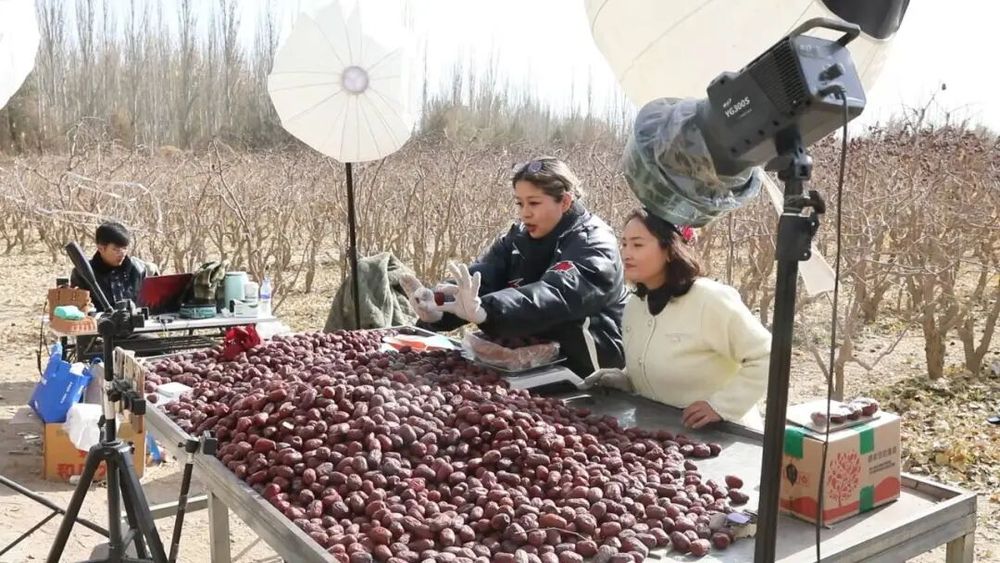同比增长 593%！“832平台”赋能墨玉农产品香飘全国(图2)