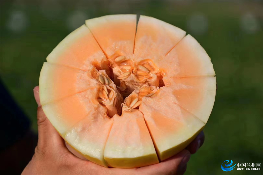 农产品直播带货屡试不爽的话术docx(图1)