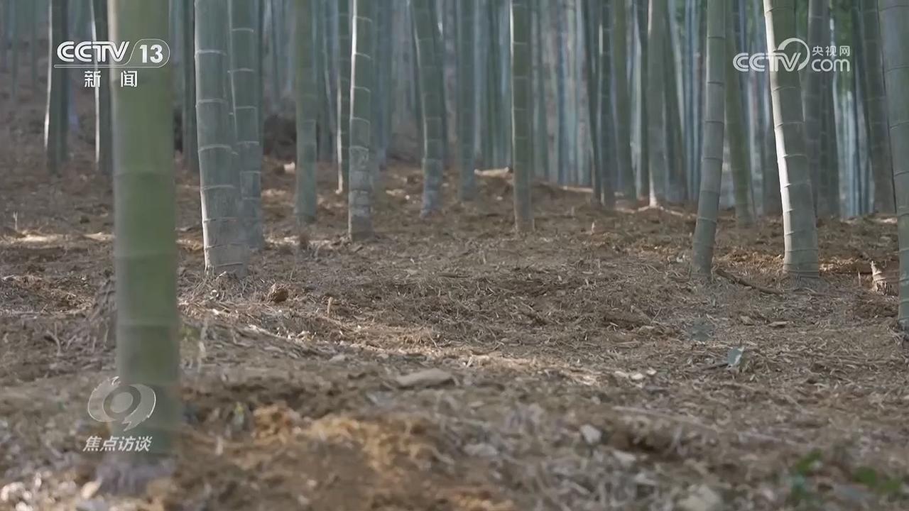 焦点访谈｜守护“舌尖上的安全”新规来了(图8)