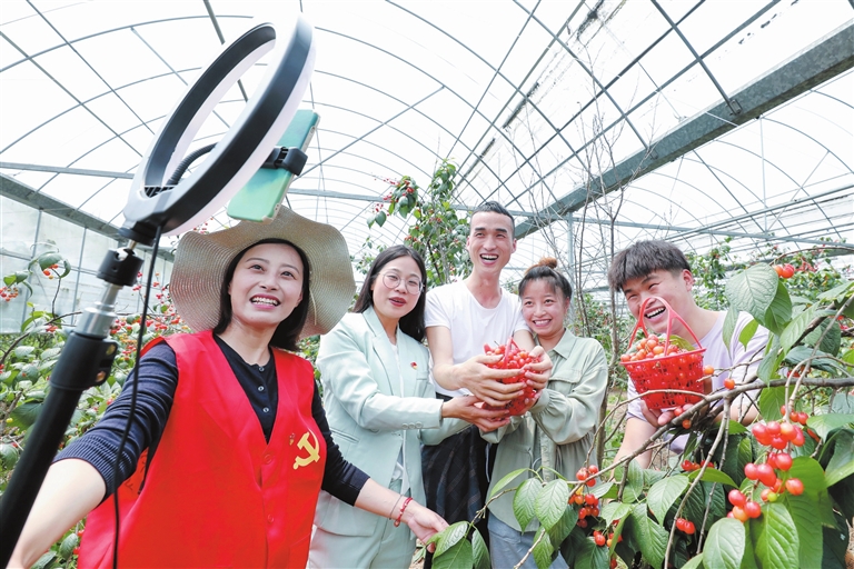 「广元」苍溪：网联赋能“天麻姑娘” 直播带货闯出深山致富路(图1)