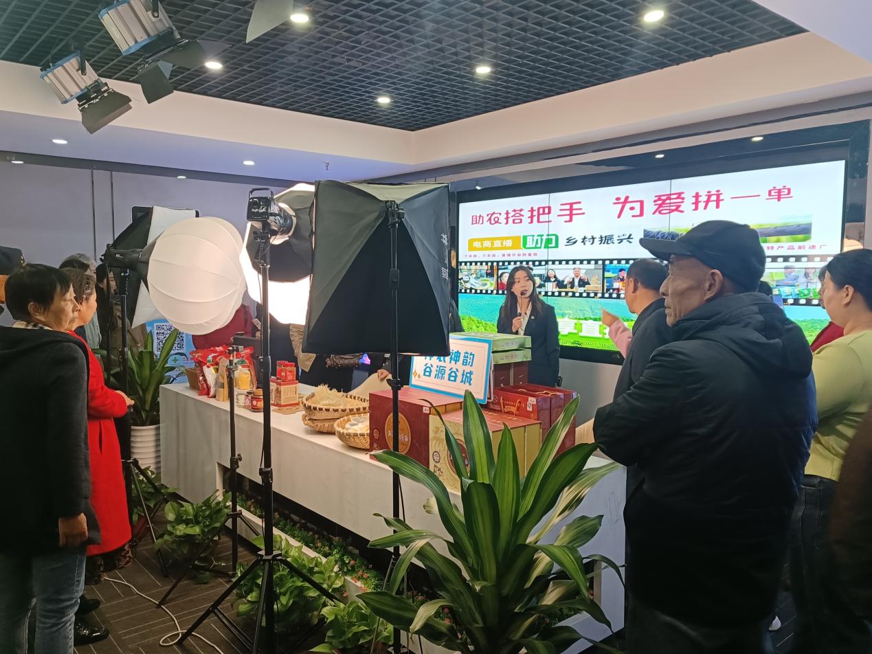 达州宣汉：“振兴工坊”里的“直播致富经”(图1)