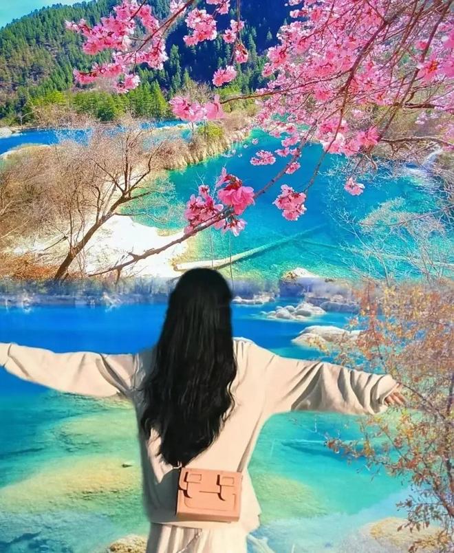 带父母去四川旅游五天四晚纯玩团四川旅游团报价5日游多少钱(图1)