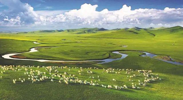 内蒙古十大特产探秘草原瑰宝你了解多少？(图1)