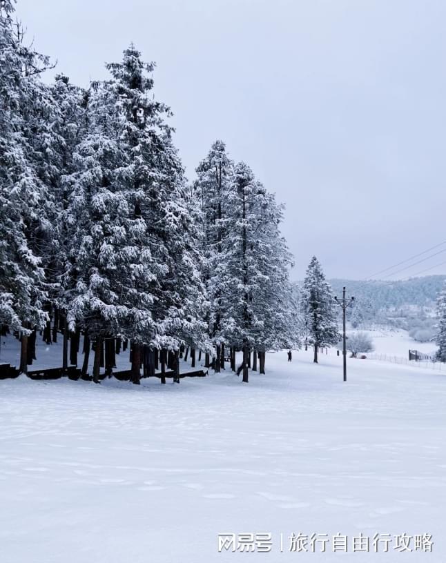 冬季重庆纯玩跟团4天3晚攻略看完这篇重庆4日游少走弯路！(图2)