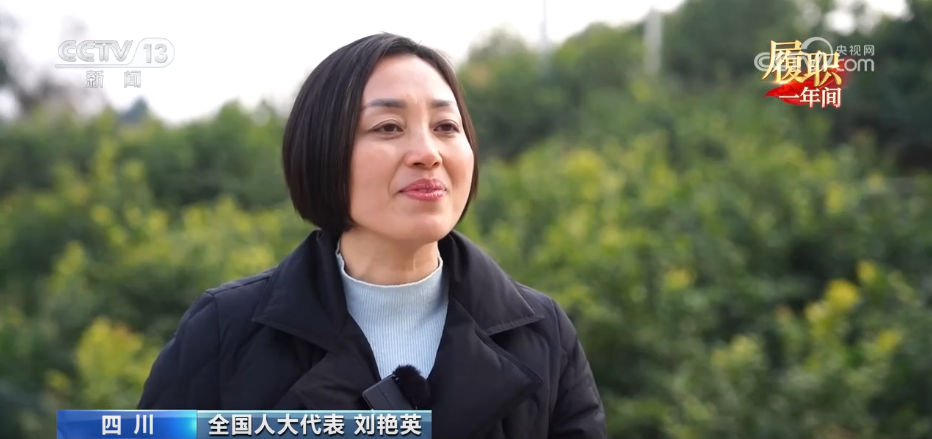 履职一年间 打好“特”字牌 让乡村“土特产”变身振兴“金名片”(图1)