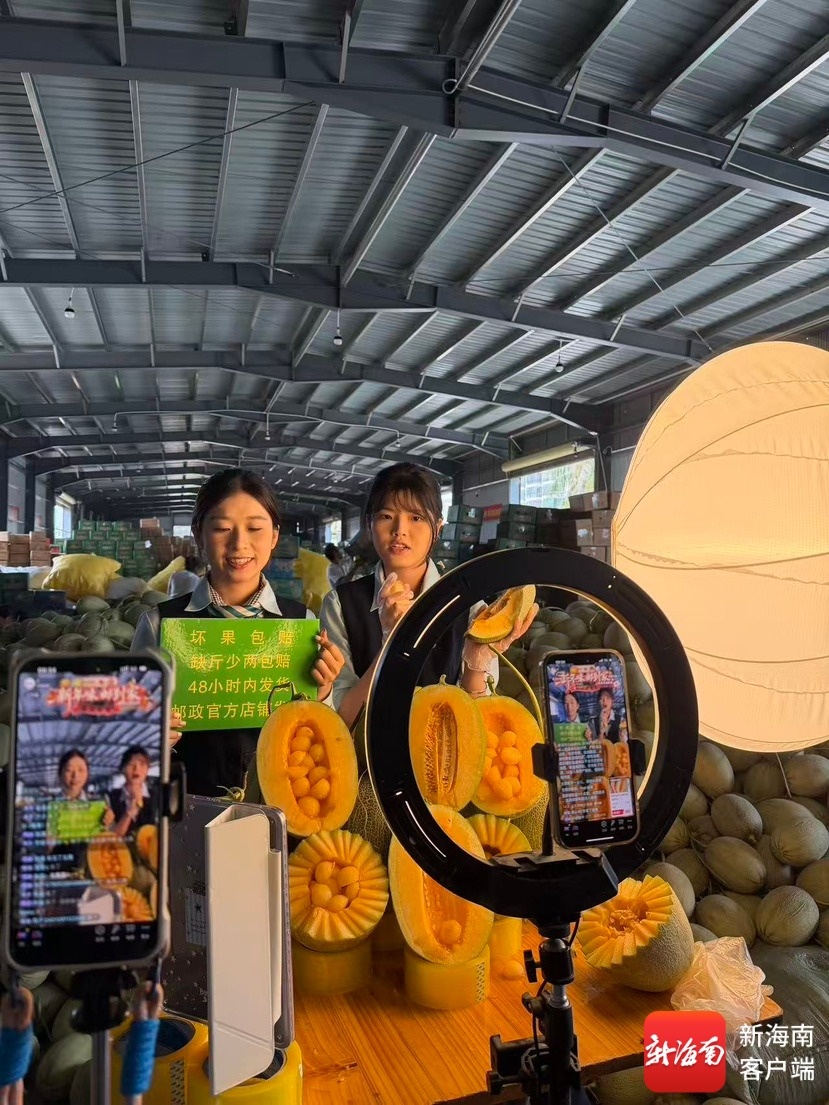 助销农产品316万元 海南邮政40场线上直播赋能特色好物热销(图2)