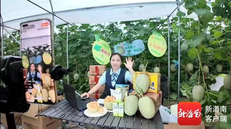 助销农产品316万元 海南邮政40场线上直播赋能特色好物热销(图3)