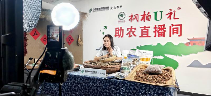 【助农在线】助农直播接地气 湖滨培训惠民生(图1)