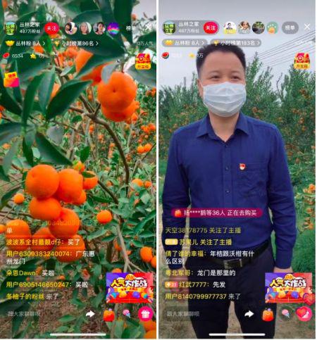 新春走基层）安徽灵璧：小屏幕变身乡村解忧铺(图1)