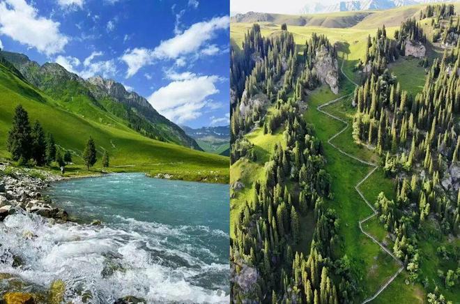 一口尝到塞外百花香！一年产一次海拔2800米“珍稀蜜源”(图14)