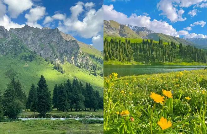 一口尝到塞外百花香！一年产一次海拔2800米“珍稀蜜源”(图16)