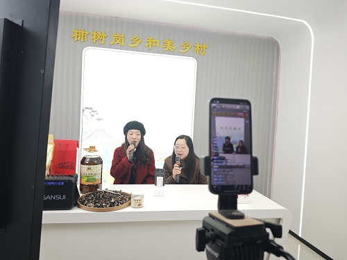 从直播带货到基层治理 “和美乡村直播间”成肥西柿树岗乡“连心桥”(图2)