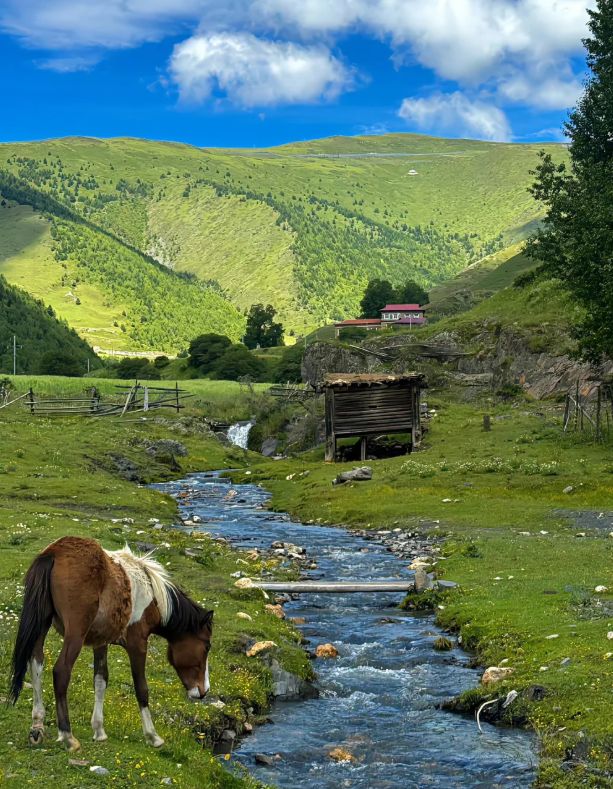 新都桥塔公草原摄影路线攻略川西五日游跟团报价及行程安排(图1)