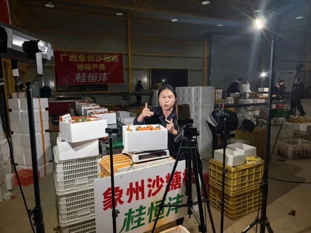 一场直播卖果30多万元 ！象州这个乡镇的水果电商真够力！(图5)