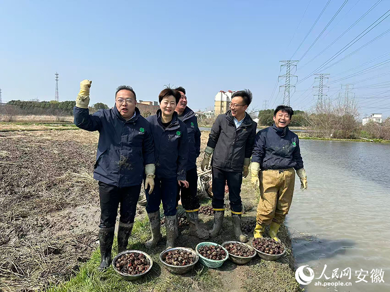 农村电商“播种”在肥东乡土之中(图1)