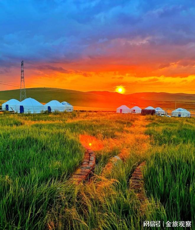 呼市旅游乱象曝光：99元草原一日游背后的真相看完再也不乱订团(图1)