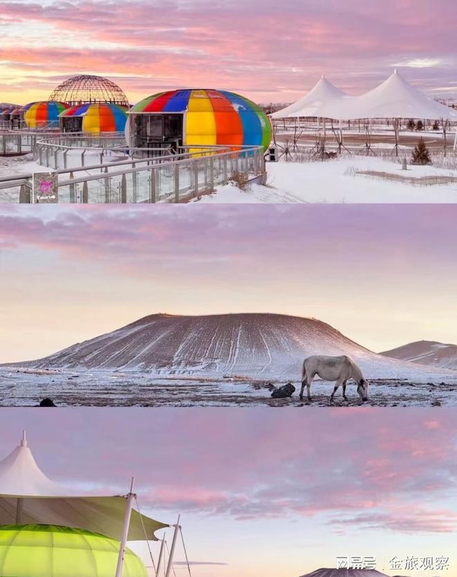呼市旅游乱象曝光：99元草原一日游背后的真相看完再也不乱订团(图2)