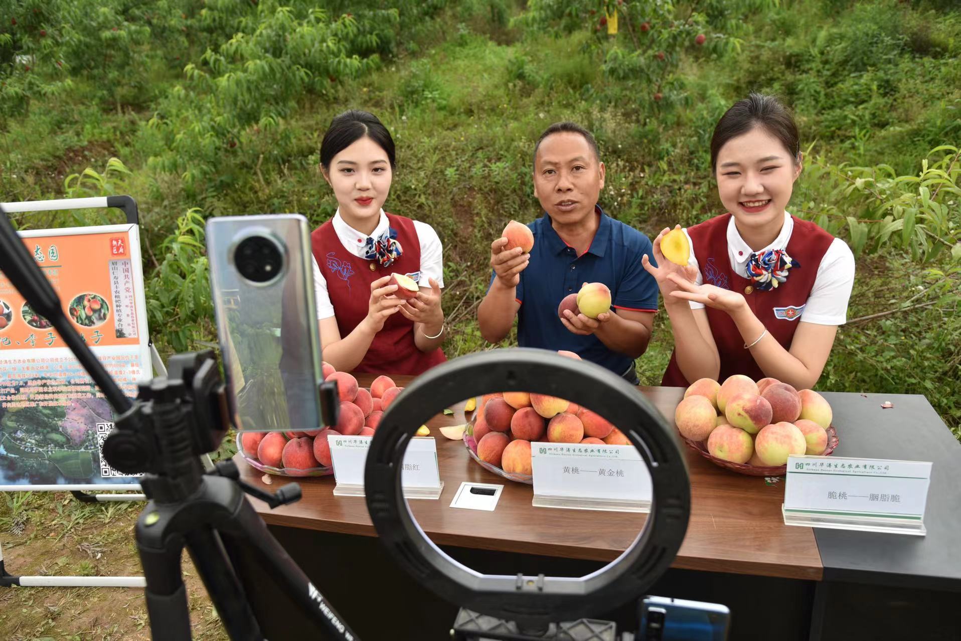 陕西横山区以数字力量拓宽农民增收路——直播架起助农桥点亮乡村振兴路(图1)