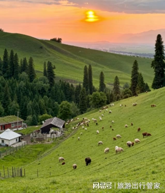 2026新疆七日游跟团报价喀纳斯禾木赛里木湖旅游攻略+核心景点(图3)