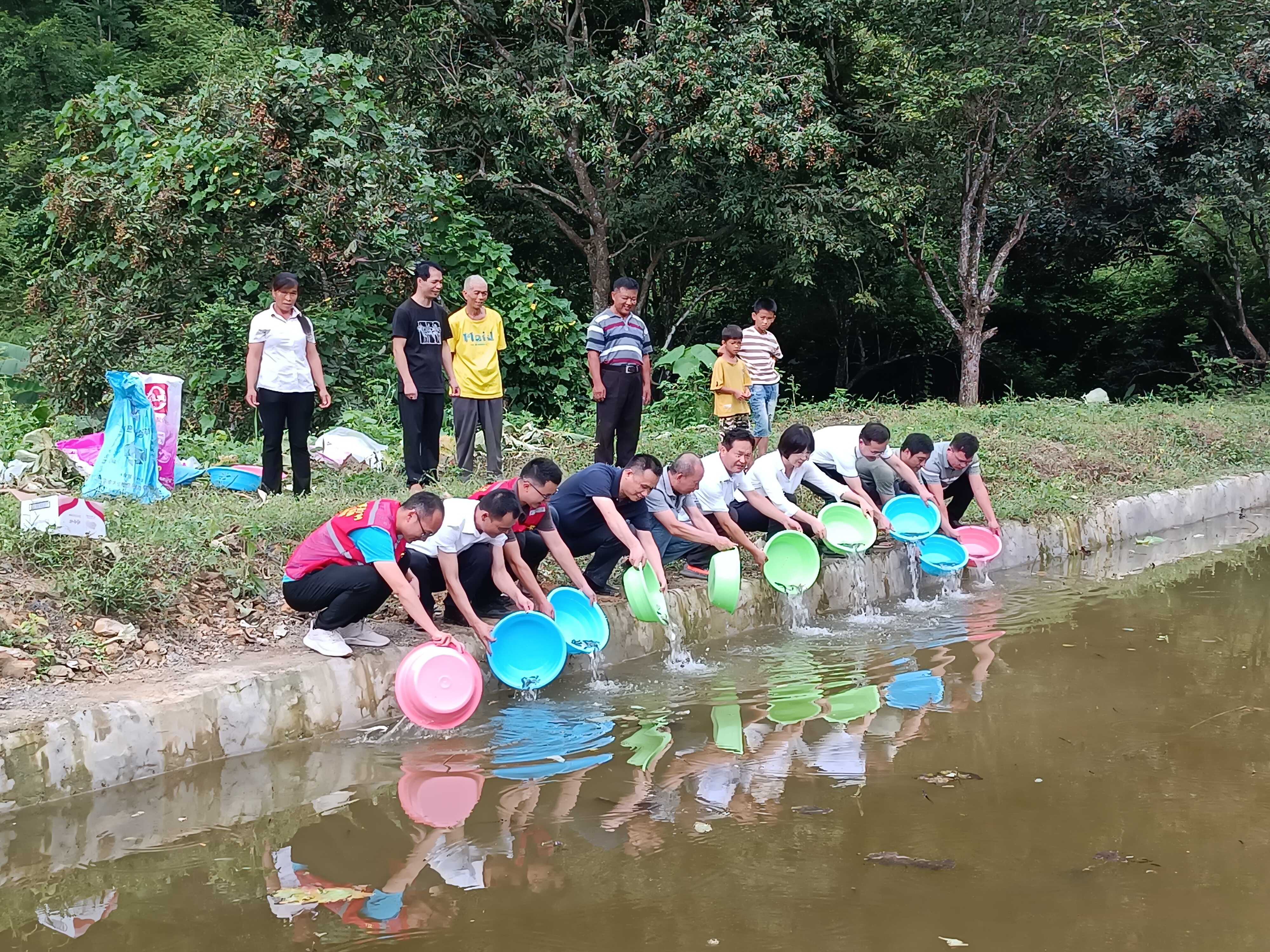 放弃城市工作返乡追梦！临漳新农人高小亮深耕林下养殖直播带货让土鸡蛋热销全国带富乡邻(图1)
