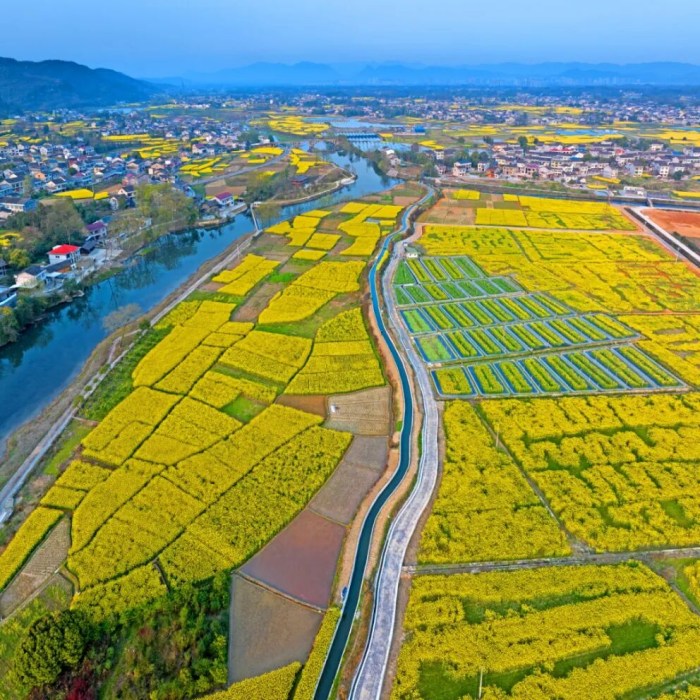 从武陵山区到世界舞台 重庆秀山发展闯新路(图1)