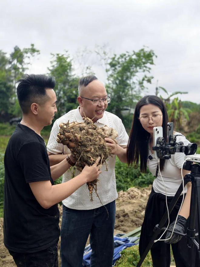 助农直播已卖4万斤高明合水生姜急寻爱心买家！(图2)