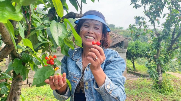 樱桃林里架起直播间 重庆城科学子助农出圈(图1)