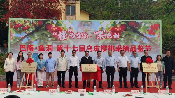 樱桃林里架起直播间 重庆城科学子助农出圈(图2)