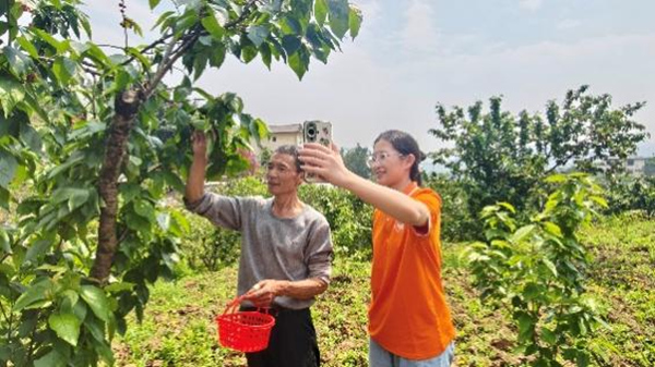樱桃林里架起直播间 重庆城科学子助农出圈(图3)