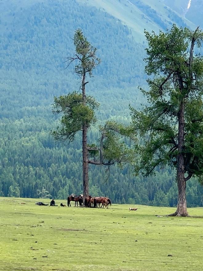 西宁出发小包团打卡莫高窟品烤羊排西北8天7晚跟团游玩攻略！(图2)
