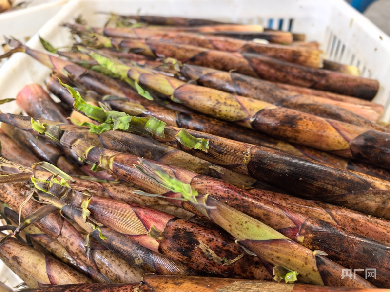 地标中国丨引流量 育留量： 黄山区“借梯登高”探索乡村直播新路(图5)