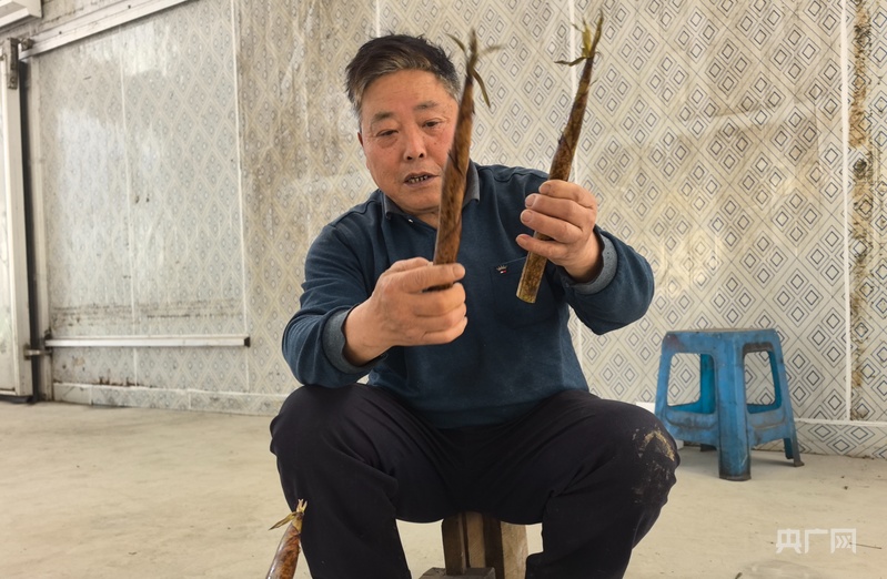 地标中国丨引流量 育留量： 黄山区“借梯登高”探索乡村直播新路(图2)