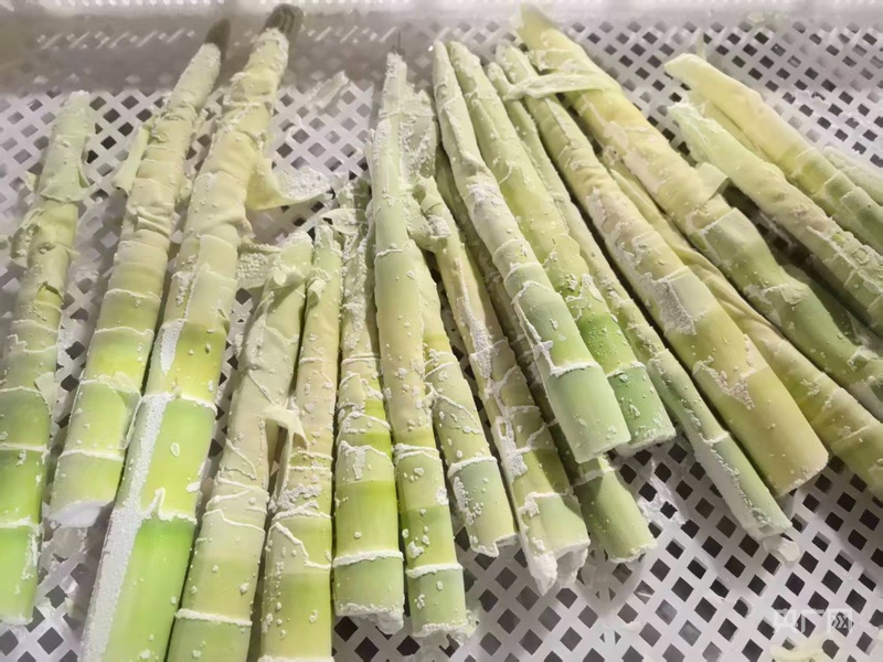 地标中国丨引流量 育留量： 黄山区“借梯登高”探索乡村直播新路(图6)