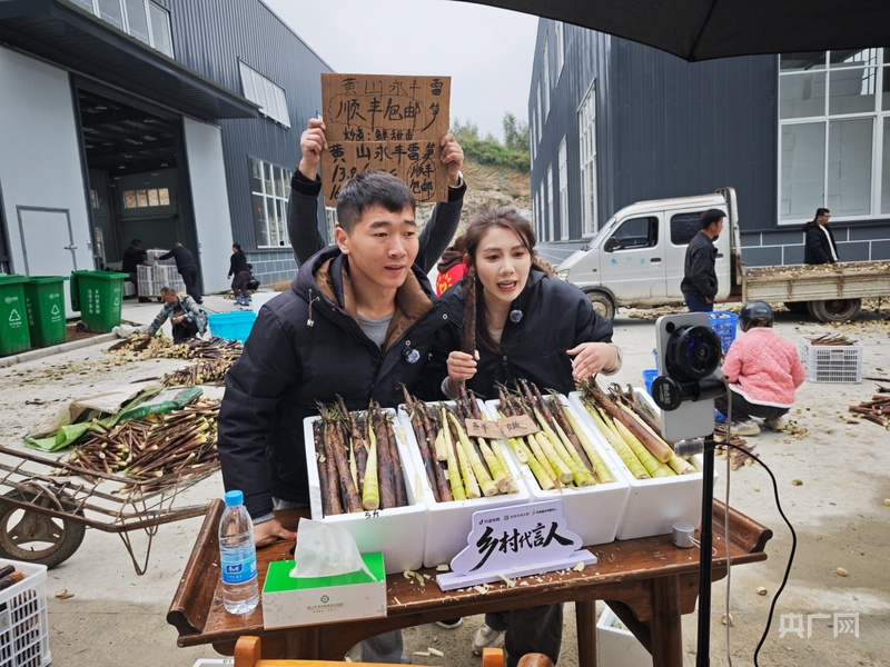 地标中国丨引流量 育留量： 黄山区“借梯登高”探索乡村直播新路(图1)